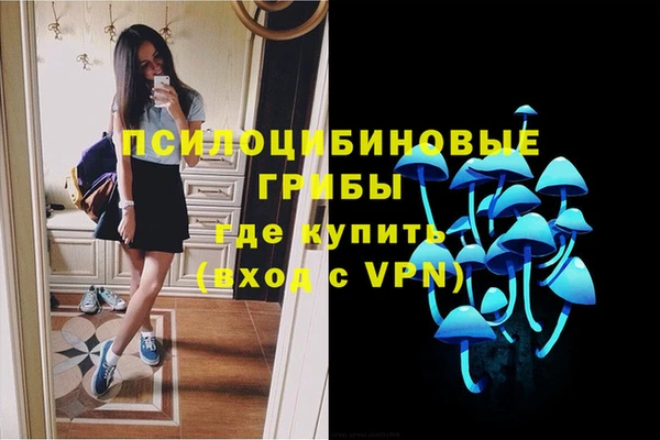 гидропоника Надым