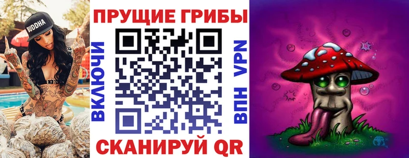 Купить  Зеленокумск  Псилоцибиновые грибы прущие грибы 