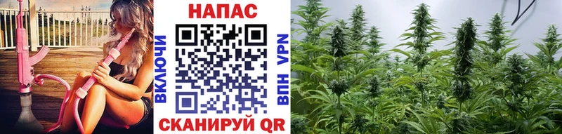 Канабис конопля  Купить где  Зеленокумск 